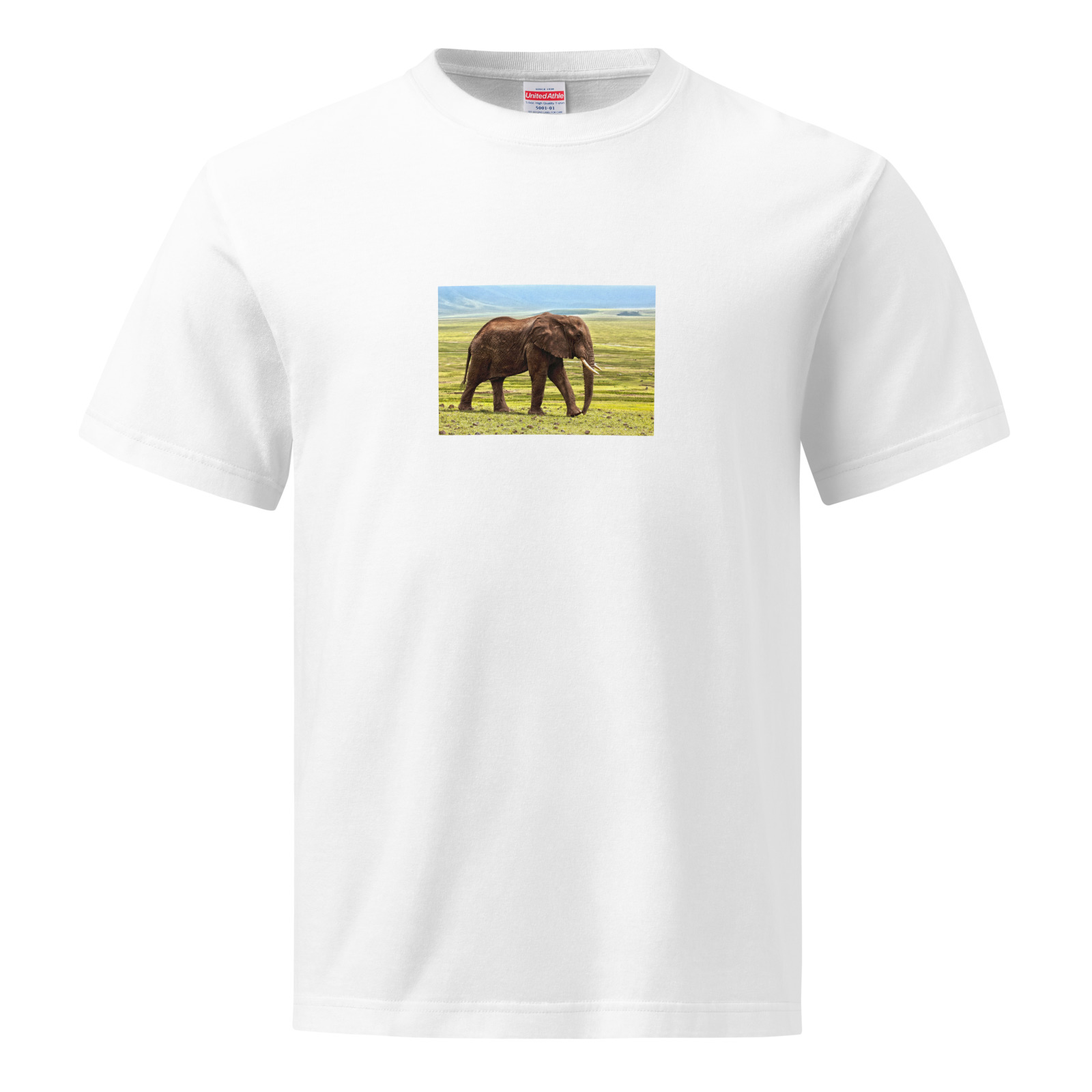 テストのTシャツ商品イメージ